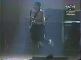 Flea paris