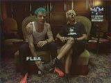 Interview MCM 1